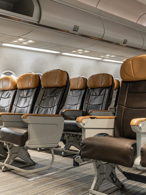 aircraft passenger seats cabin interior clean new luxury leather style nobody aircraft passenger seats cabin interior clean new luxury leather style nobody