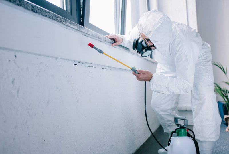 pest control worker spraying chemicals under windowsill at home